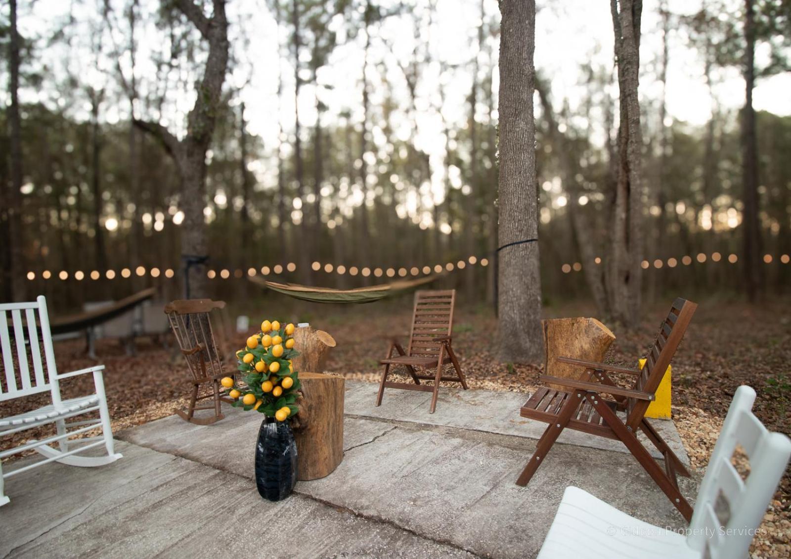 3/2 Uf Wooded Paradise Retreat Gainesville Ngoại thất bức ảnh