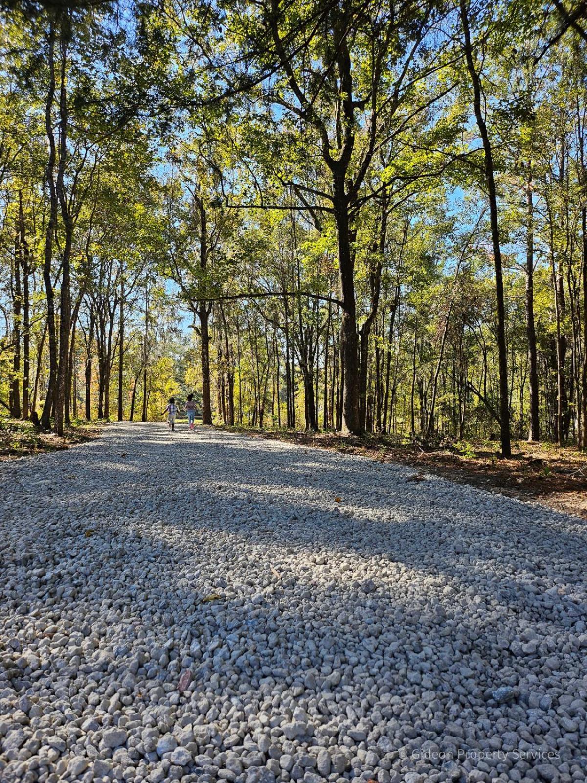 3/2 Uf Wooded Paradise Retreat Gainesville Ngoại thất bức ảnh